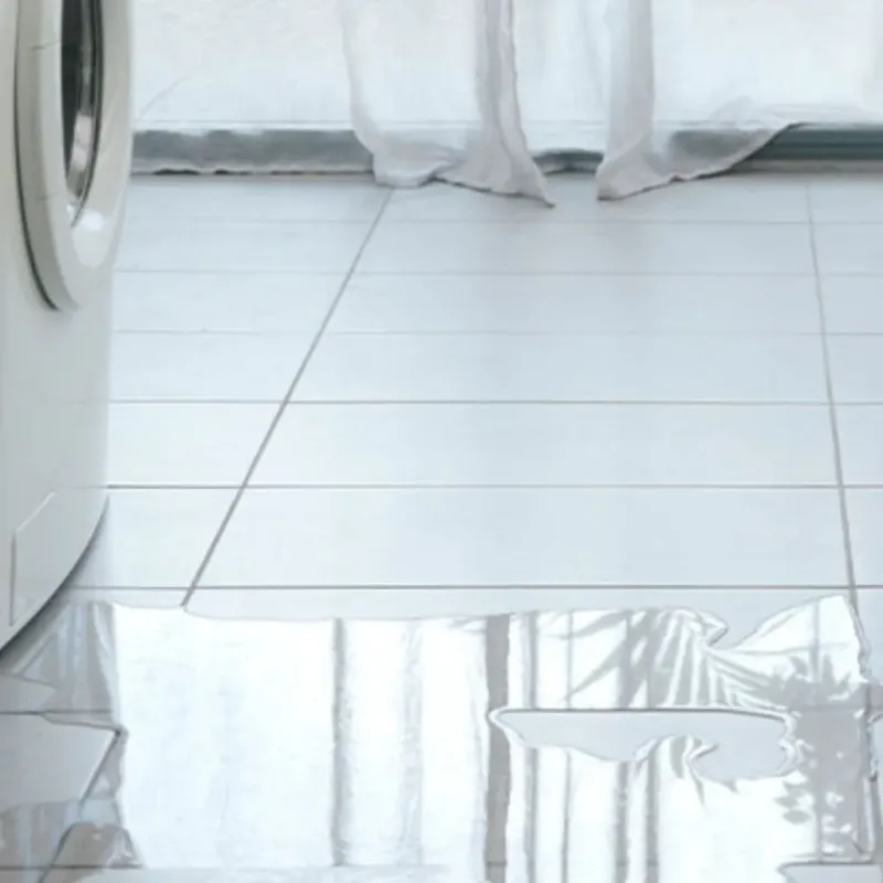 Appliance Leak Cleanup in Asbury Lake, FL