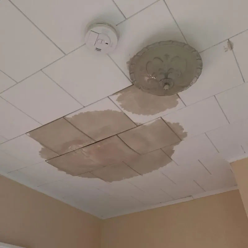 Ceiling Water Damage Repair in Asbury Lake, FL